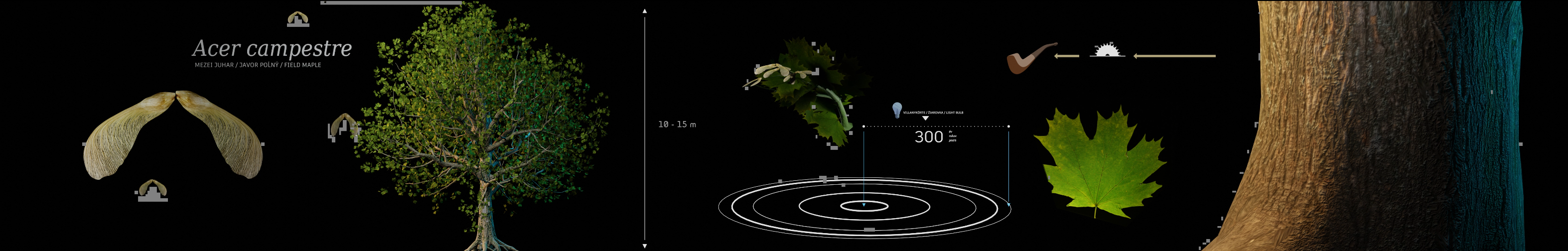 "Cicadagoat" image by Chris Lyon of Perennial Media