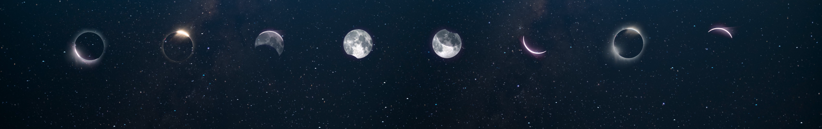 "Cicadagoat" image by Chris Lyon of Perennial Media